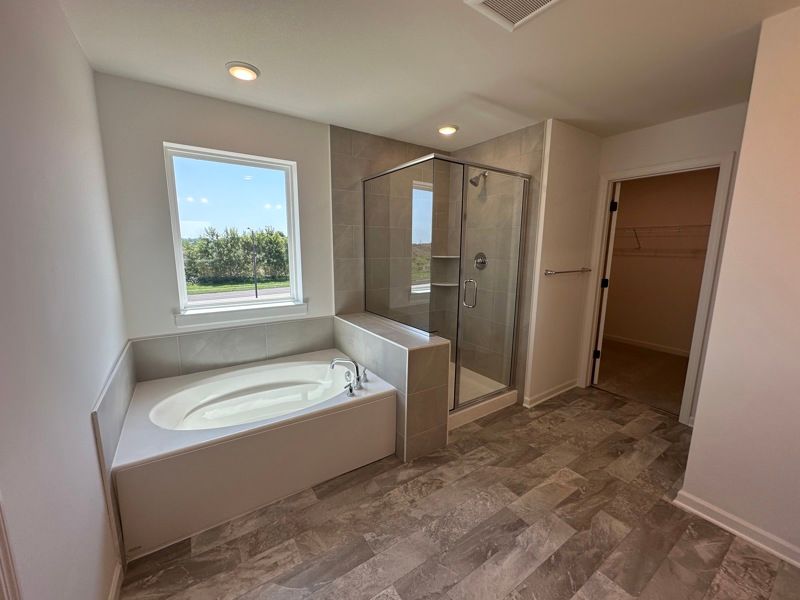 Owner's Bath