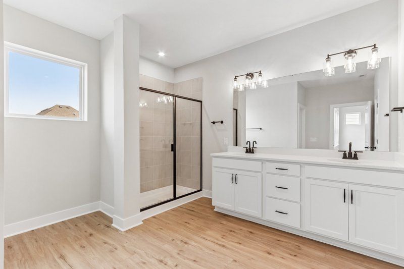 Owner's Bath