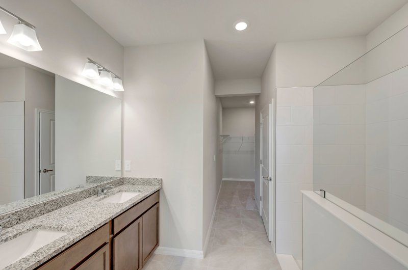 Owner's Bath