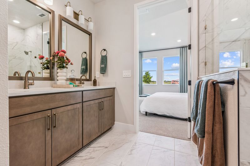 Owner's Bath
