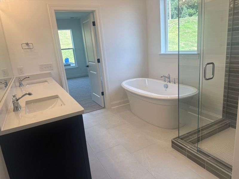 Owner's Bath