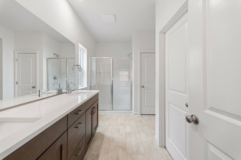 Owner's Bath