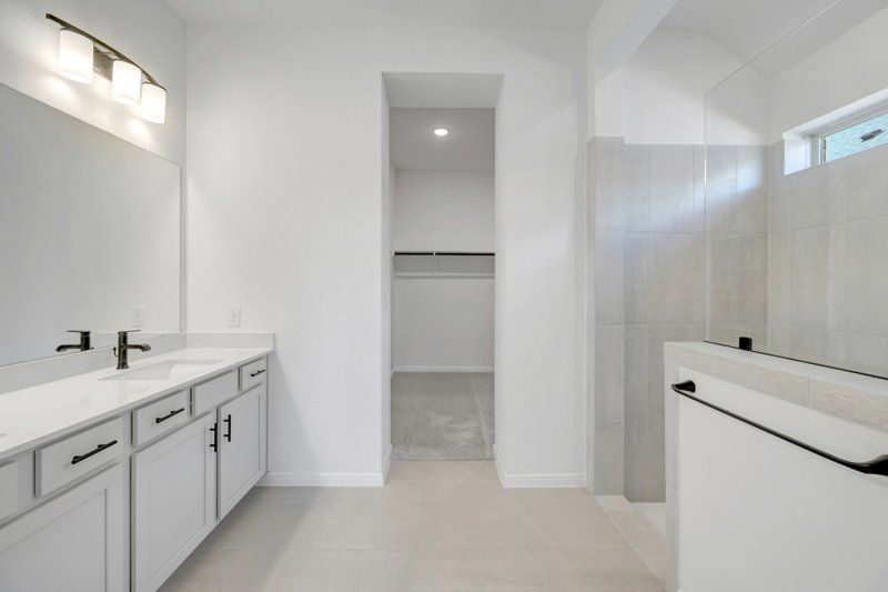 Owner's Bath