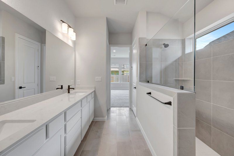 Owner's Bath