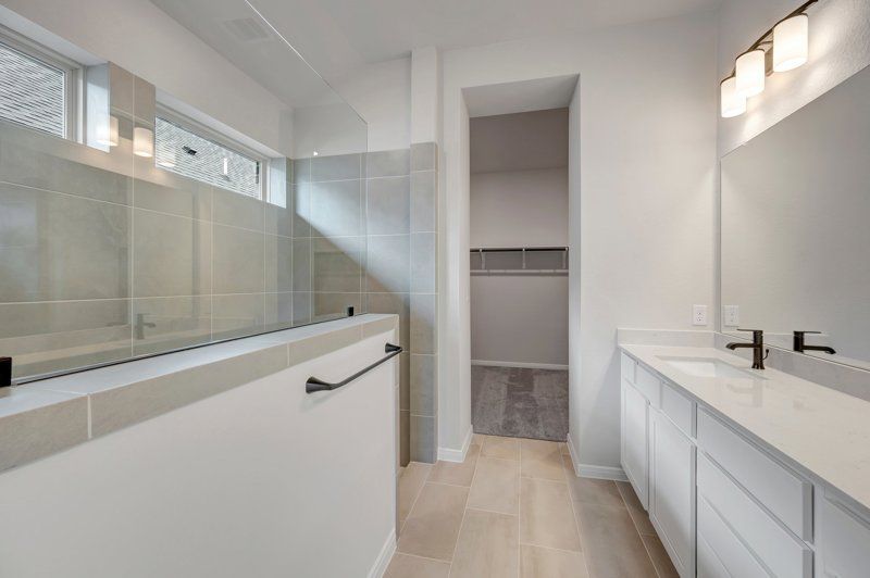 Owner's Bath