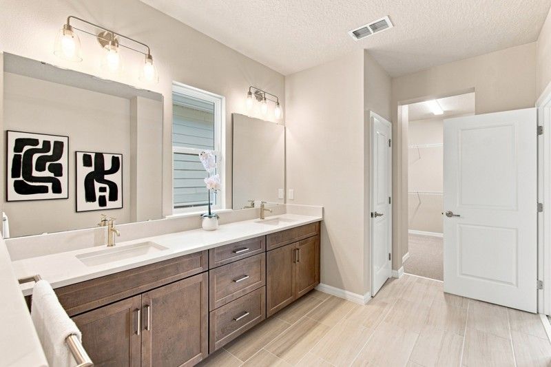 Owner's Bath