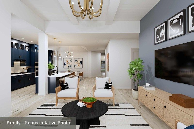 Family Room - Representative Photo