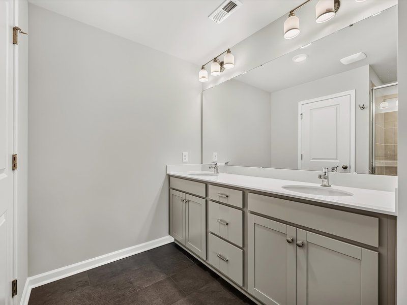 Owner's Bath