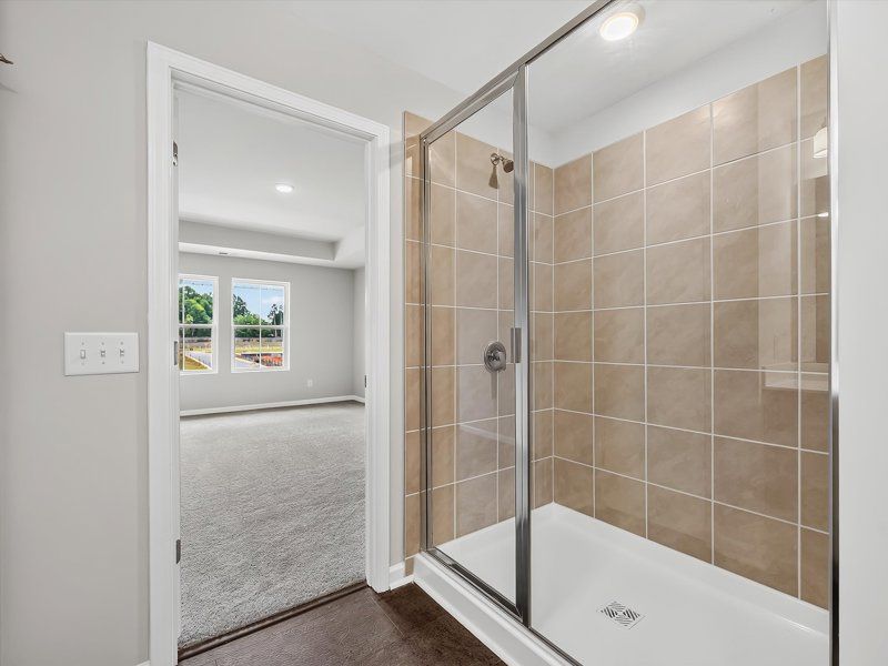 Owner's Bath