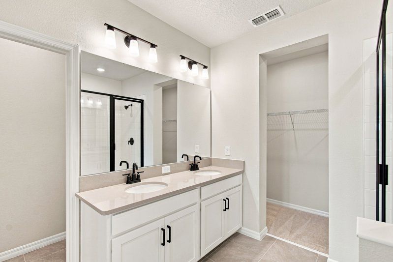 Owner's Bath