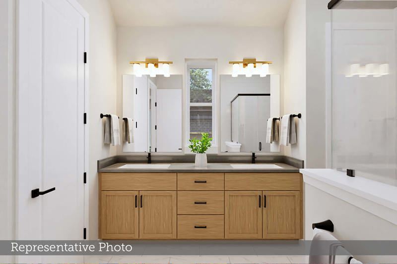 Owner's Bath