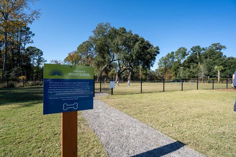 Point Hope  - Peggy's Park