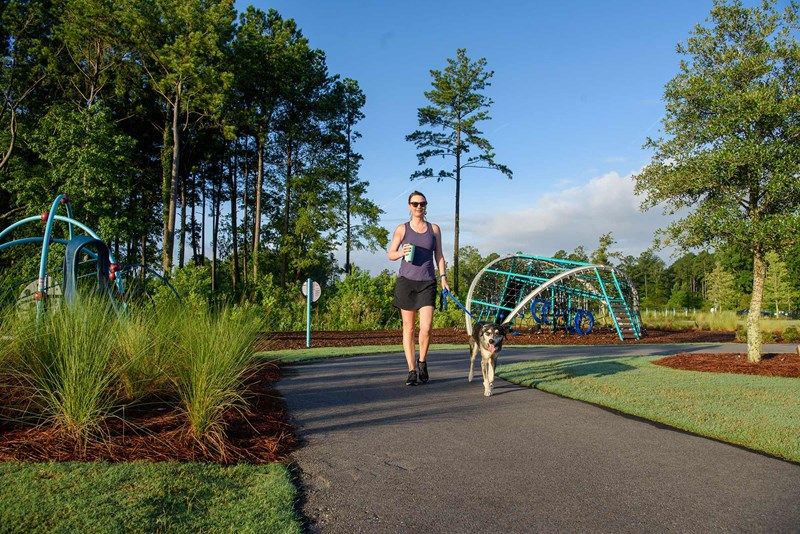 Point Hope - Walking Trails