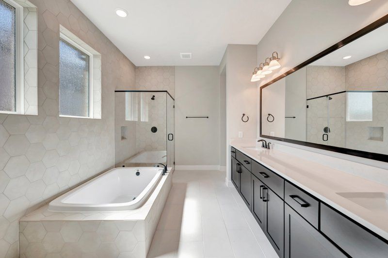 Owner's Bath