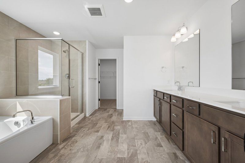 Owner's Bath