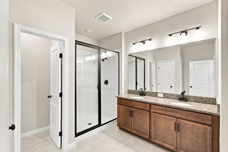 Owner's Bath