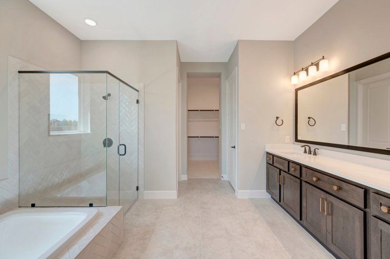 Owner's Bath