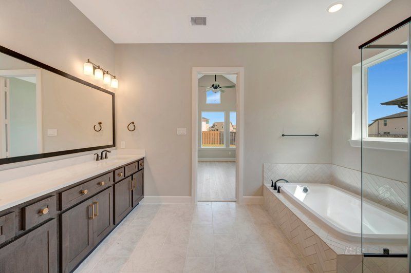 Owner's Bath