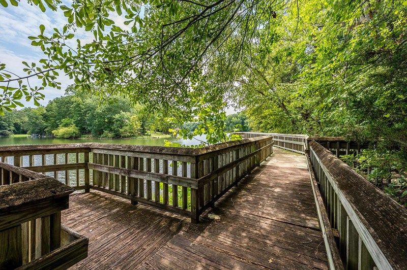 Copperhead Island