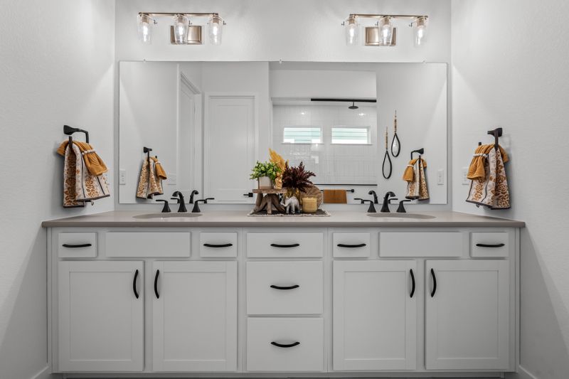 Owner's Bath