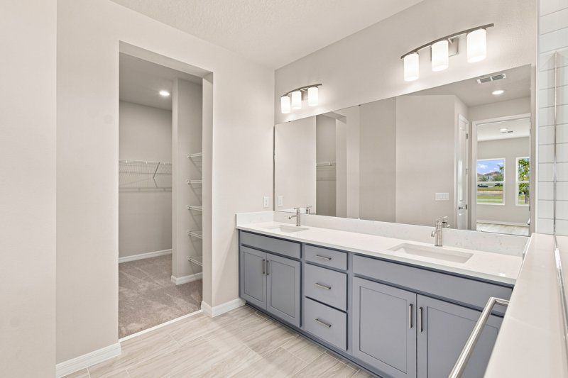 Owner's Bath