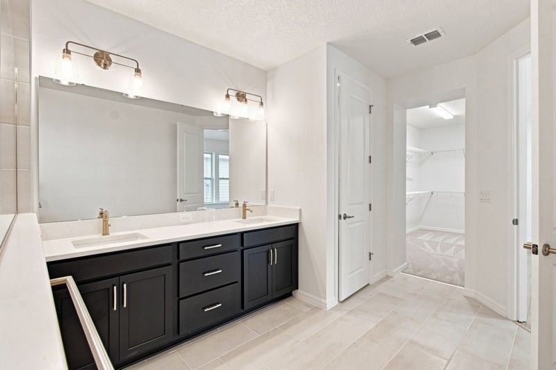 Owner's Bath