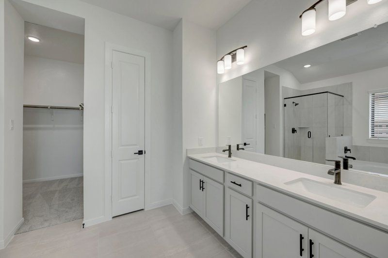 Owner's Bath