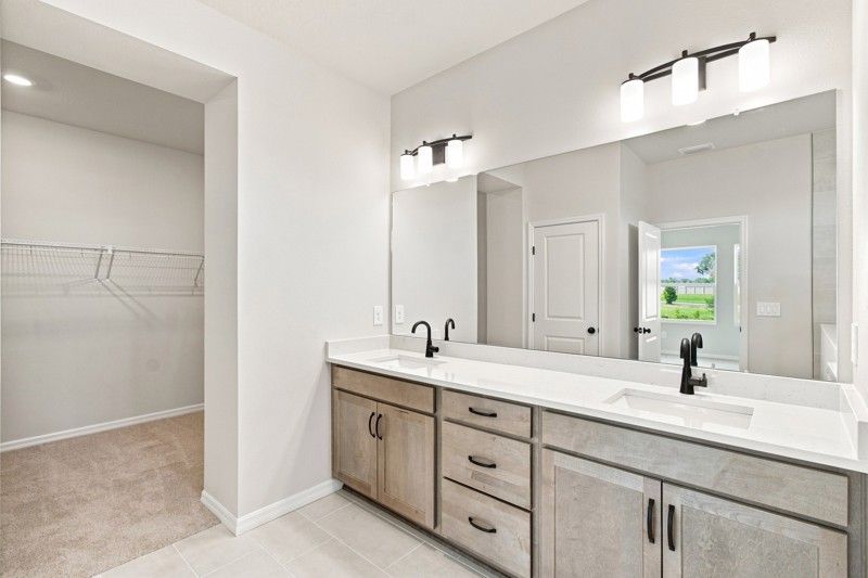 Owner's Bath