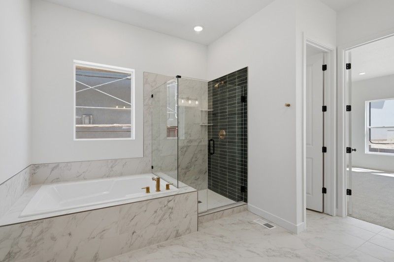 Owner's Bath