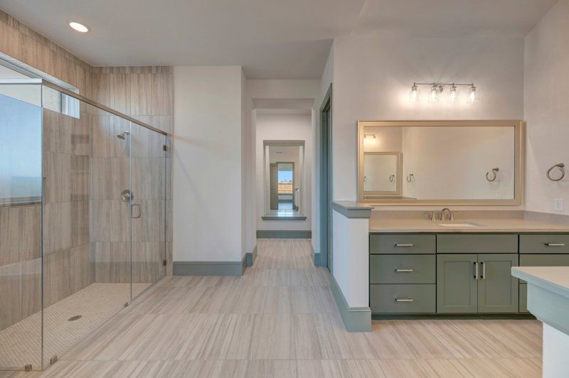 Owner's Bath