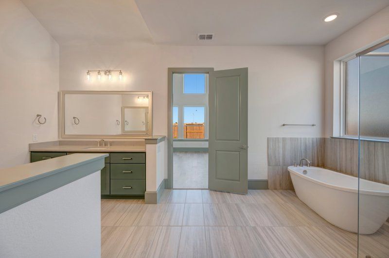 Owner's Bath