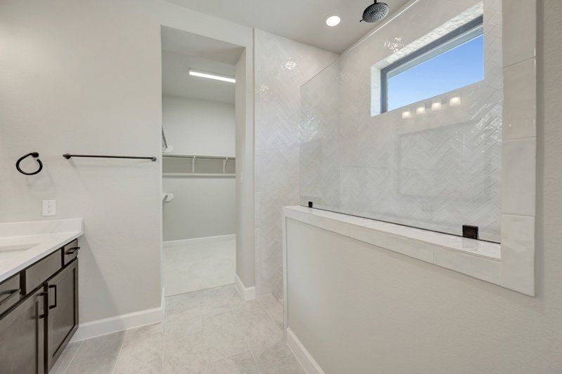 Owner's Bath