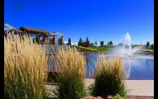 Highline at Wolf Ranch: Colorado Springs, Colorado - David Weekley Homes
