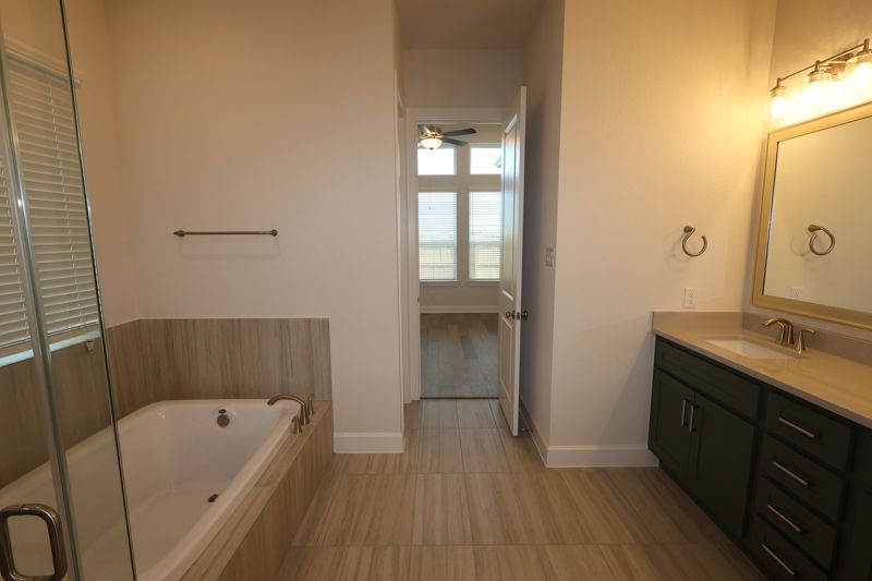 Owner's Bath
