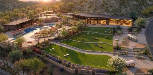 Saddleback