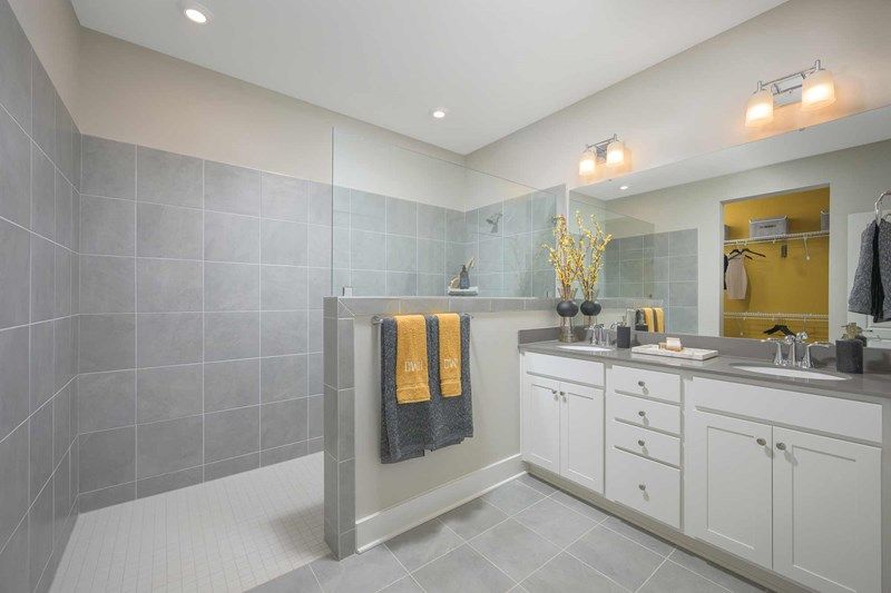 The Ambition - Owner's Bath