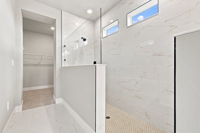 Owner's Bath