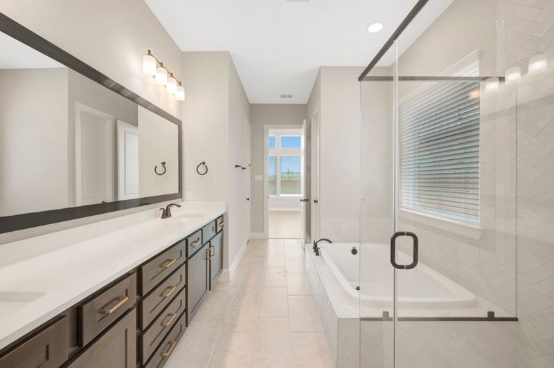 Owner's Bath