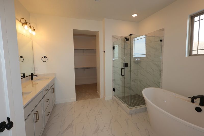 Owner's Bath