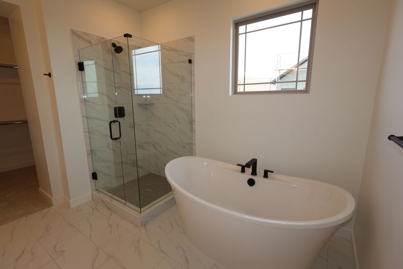 Owner's Bath