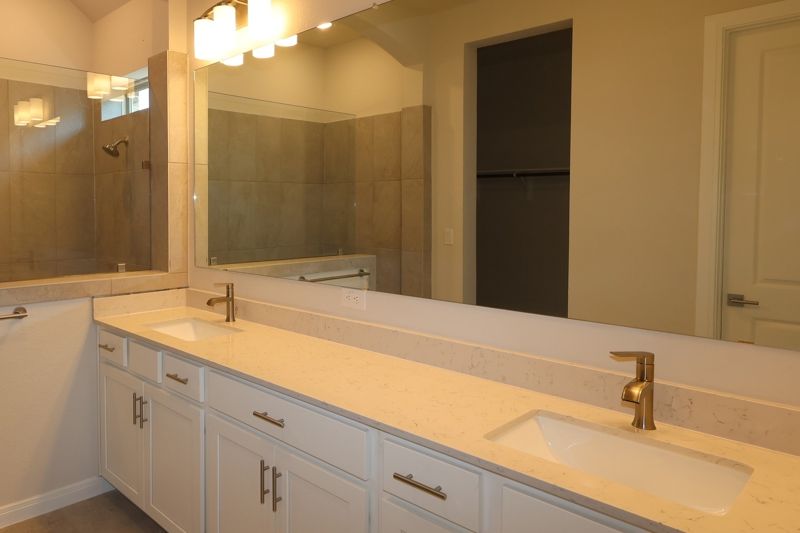 Owner's Bath