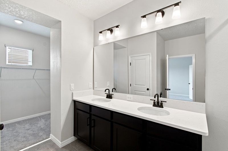 Owner's Bath