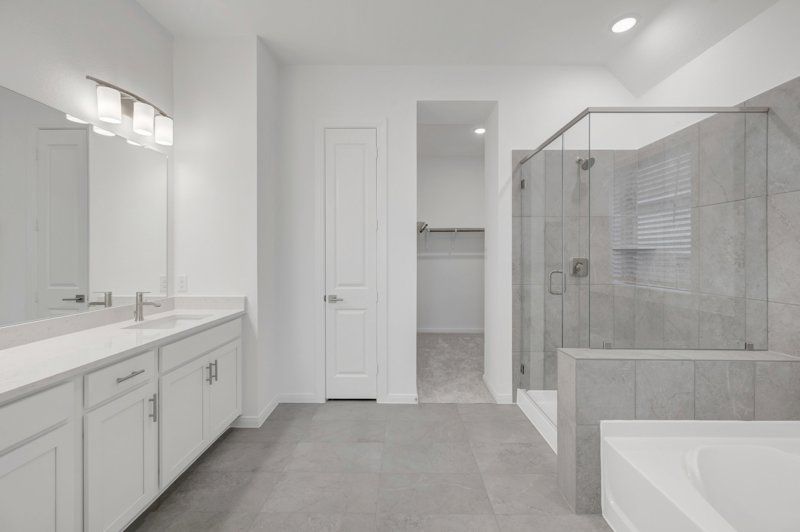 Owner's Bath