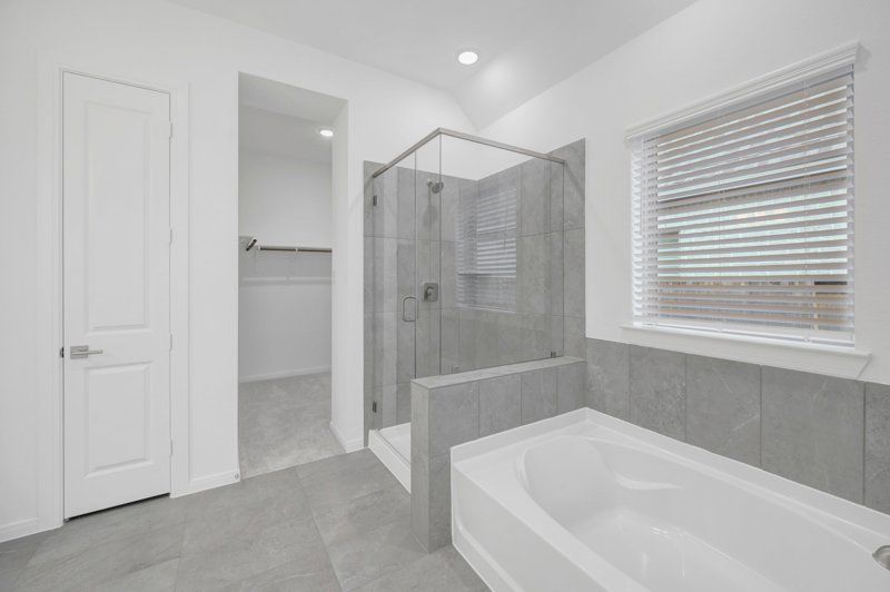 Owner's Bath