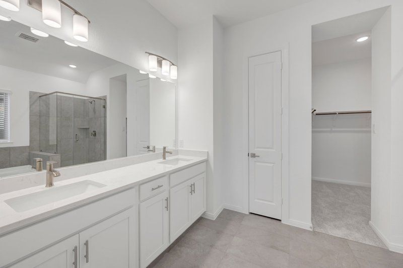 Owner's Bath