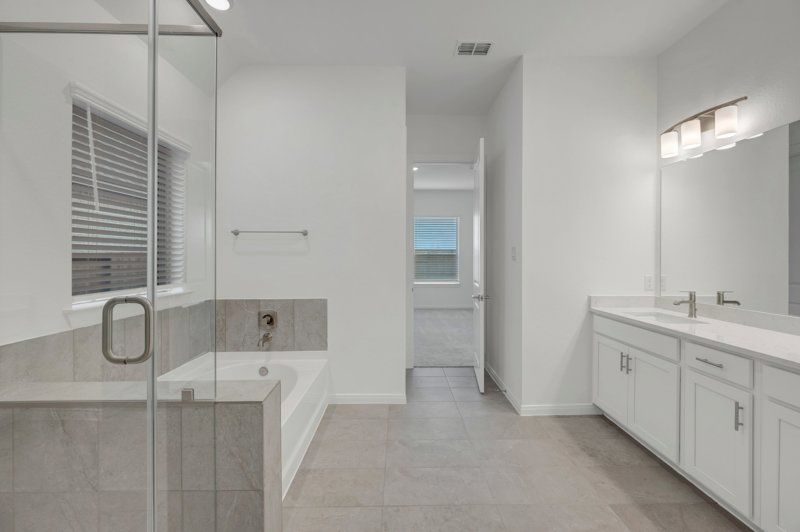 Owner's Bath
