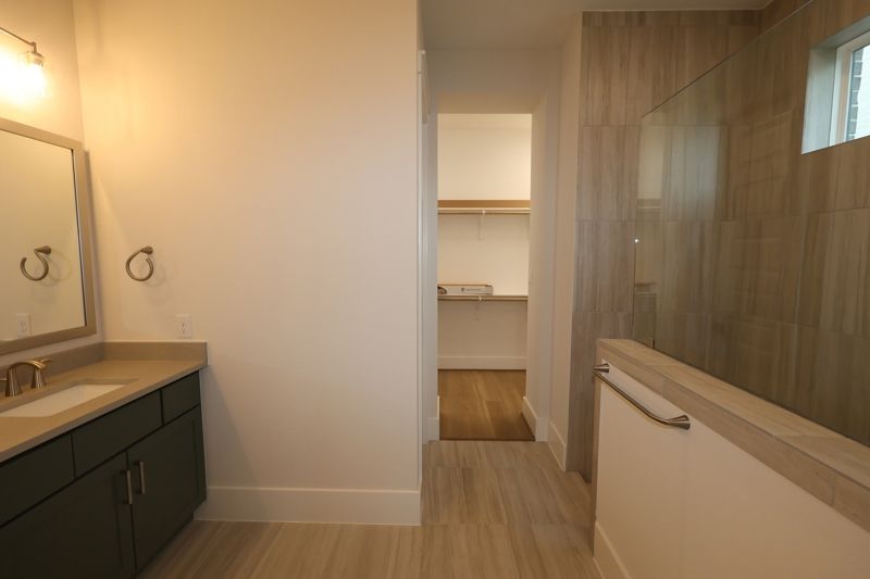 Owner's Bath