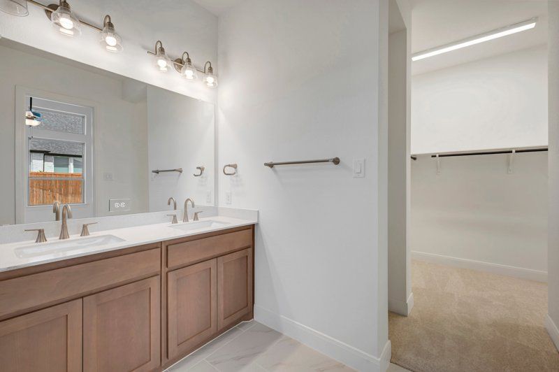 Owner's Bath