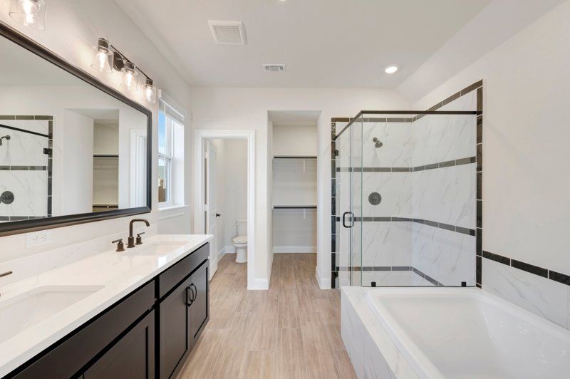 Owner's Bath