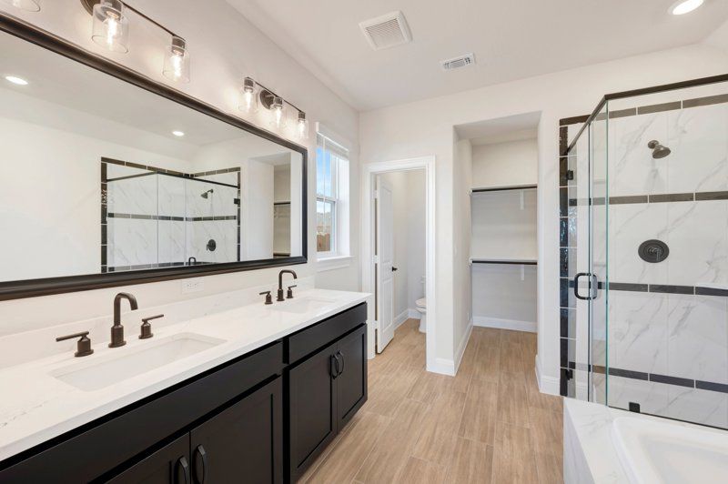 Owner's Bath